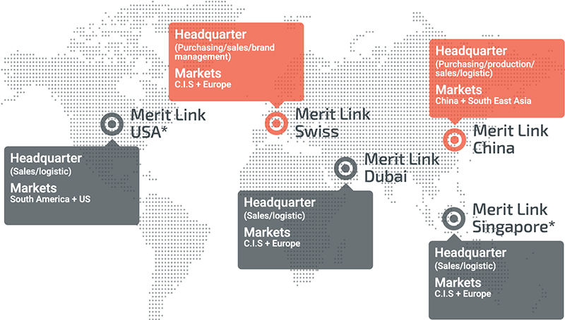 Международная группа Merit Link